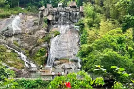 【乐游河源·走进龙川】如画风景串成线 乡村旅游迎“春天”图片