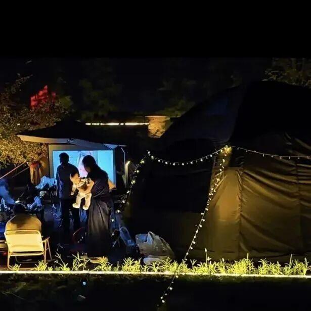 重返20°C+，洛阳极品好天气！速速出门！