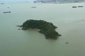 海城共生的广州，这些海岛美不胜收图片