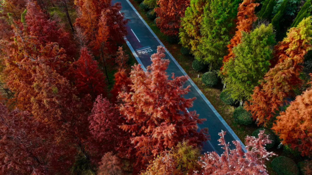 出色！洛阳这些最美场景等你解锁