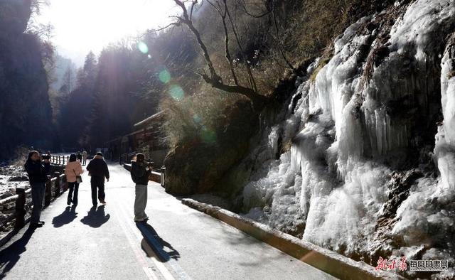 雪岭雾凇映冰帘 宕昌官鹅沟赏冰雪正当时