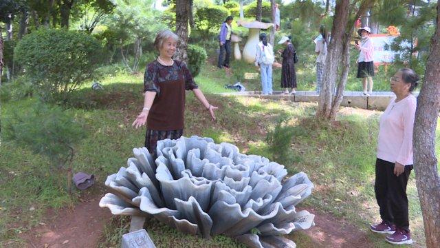 当野生菌撑起小伞，玉溪易门迎来最“鲜”旅游季