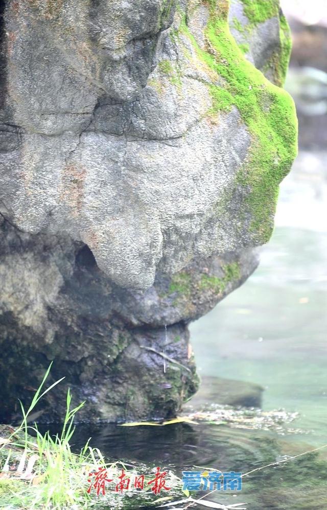 一年四季 泉在济南丨趵突泉水位逼近29米线，济南月牙泉“滴水欲涌”引期待