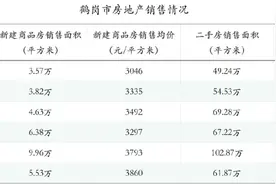 曾被贴上低房价标签的鹤岗，现在怎么样了？图片