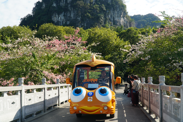 初冬的风里竟有了粉色的“味道”！就在龙潭公园里~