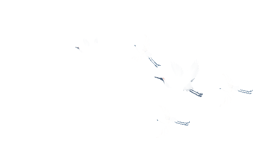 今日秋分｜秋实满枝，景致正佳