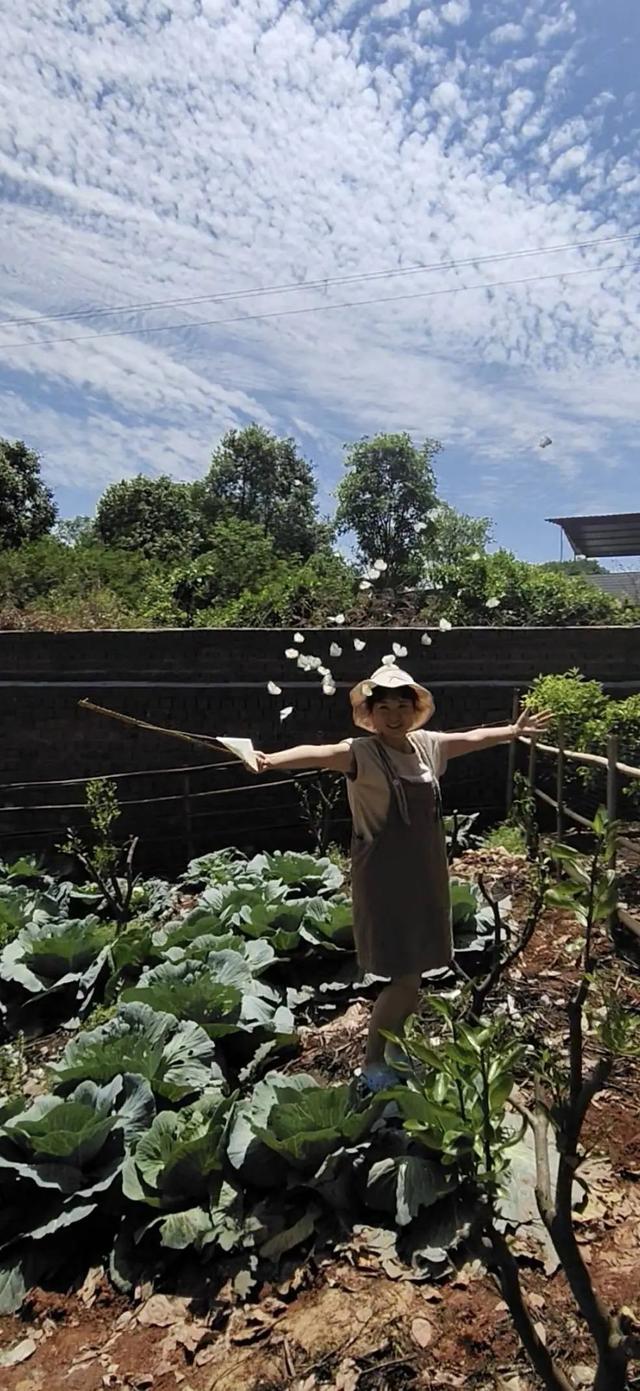 只需木棍+纸片？四川网友再现“香妃引蝶”！