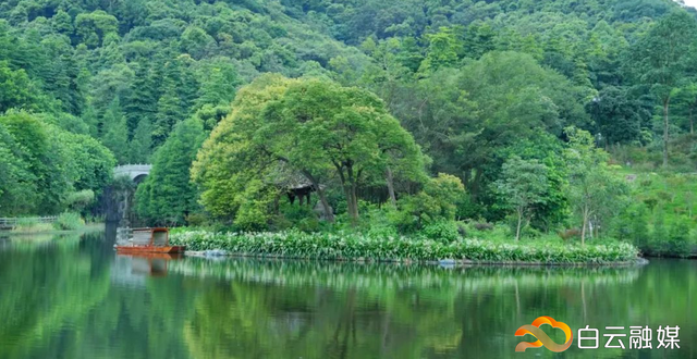 白云的颁证点，靓到想结婚超浪漫，包出片（文末福利）