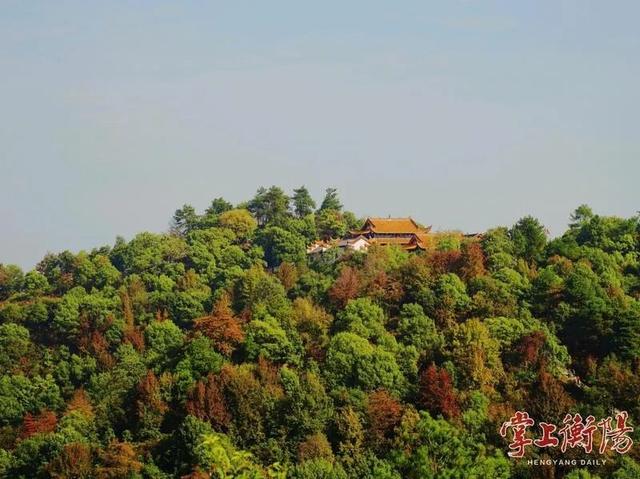 冬日衡阳，超浪漫！