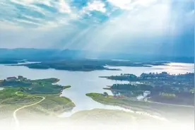 一颗“桃”酿出乡村振兴“蜜”滋味图片