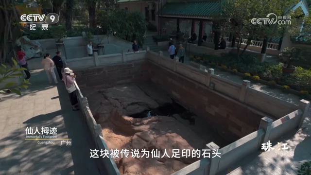 央视热播！就在身边，不少越秀街坊天天见