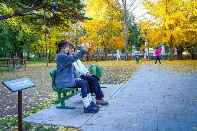 香山有支“园林美容师”队伍，每天背2吨垃圾下山