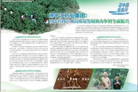 扬子江药业集团：以中药材产业高质量发展助力乡村全面振兴图片