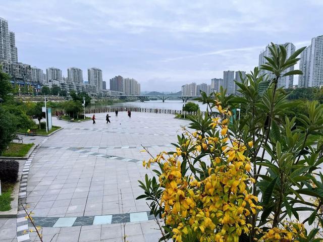 冬｜把时光染成斑斓诗行～