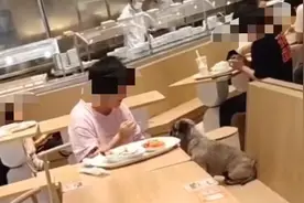 大米先生上海门店被曝狗与人共用餐具！回应称整套餐盘已废弃图片