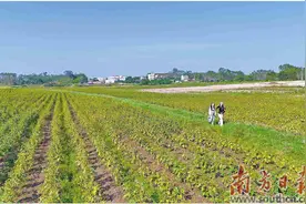 竞逐平价咖啡新赛道图片