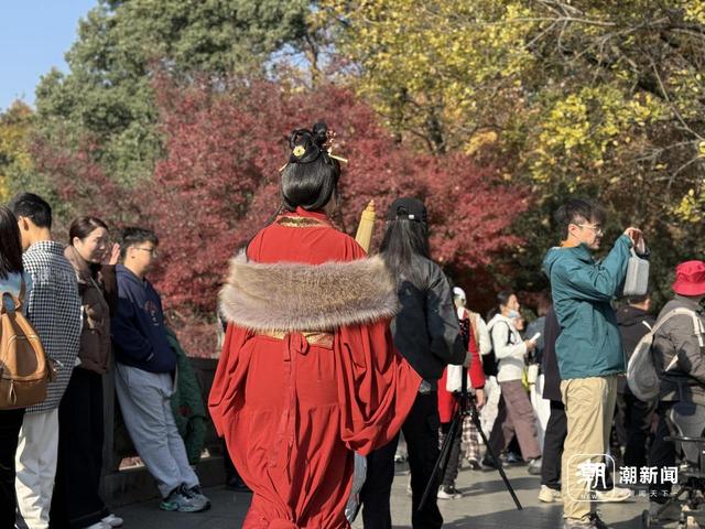 枫景这边正好，西湖的浪漫刷屏了