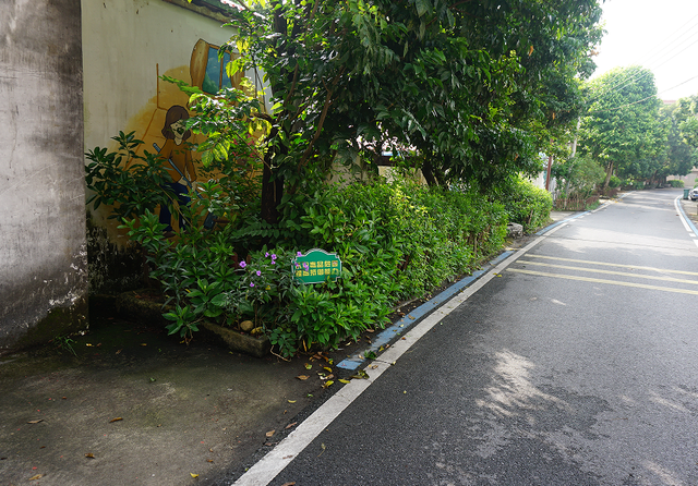 白沙村，更美了！