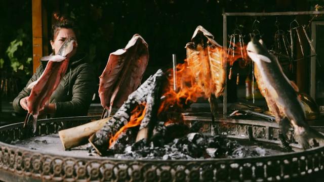 梦中情秋！赏金湖杨，这里全国闻名