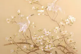 在这里，遇见不一样的春天（美丽中国·春天来了）图片