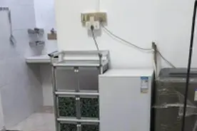 女生与玩偶跨次元互动：如果感到幸福，你就拍拍手图片