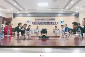 多地宣布对中华田园犬解除禁养！图片