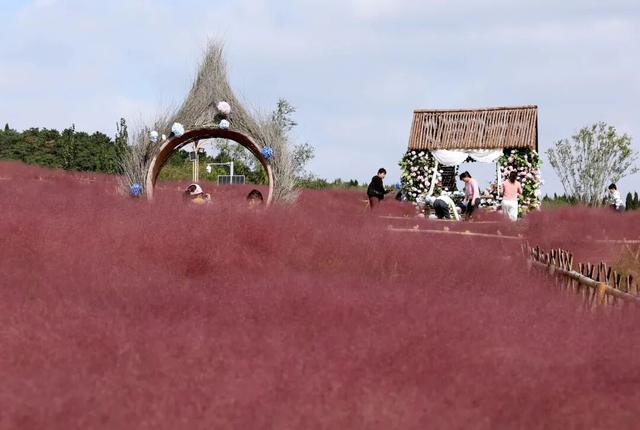 免费报名！南湖环库骑行！