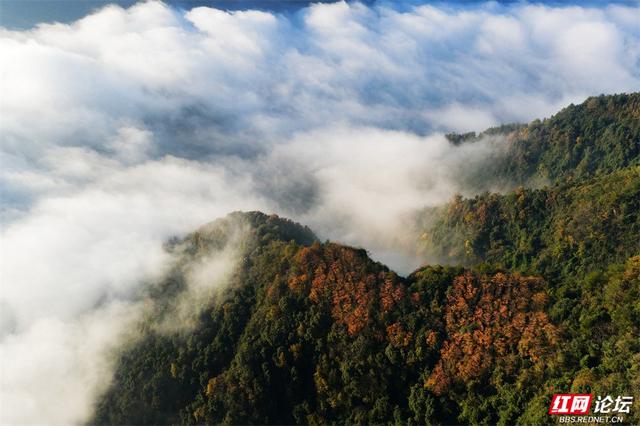 岁暖时刻丨张家界垭门关：云海翻涌时，哪座山的景色最让你心动？