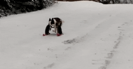 青睐绵阳·欢喜过年 || 戴上围好，这里今天正式开始试运营→