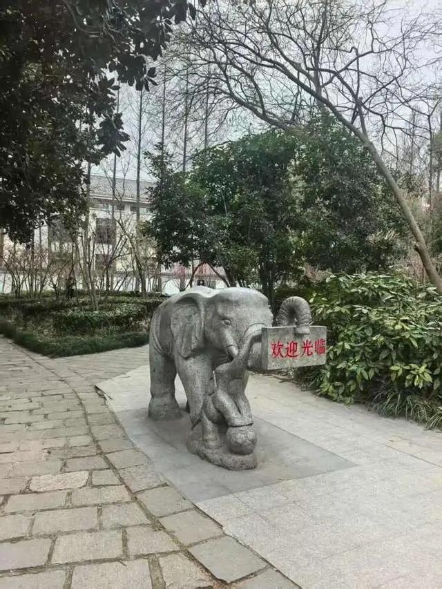 承载了几代人的童年欢笑，“人气顶流”带着它的“新朋友们”回来啦！
