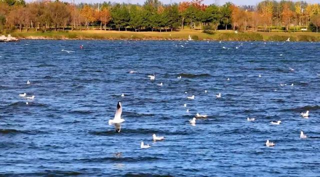 乘着高铁冬游南海 解锁宝藏旅居目的地