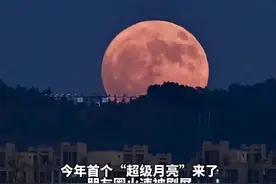昨晚失眠或是月亮惹的祸？今年首个“超级月亮”你看到了吗？附拍摄实用指南图片