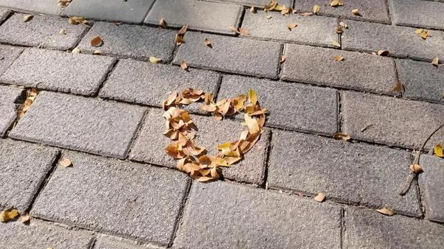 气温重回20℃！这个双休日，在愚园路的光影里，慢享秋日静好！→