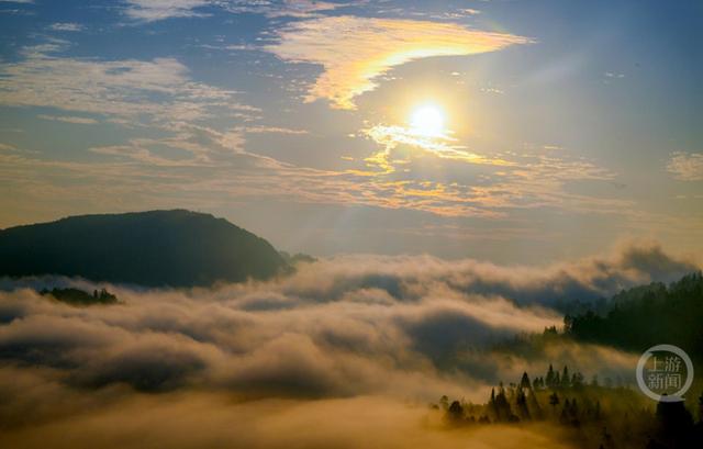 雾绕彩林伴冬阳