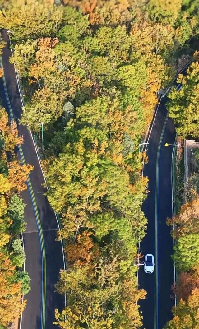 【跟着赛事游凉山】奔跑在画中 这张西昌“金标”名片藏着的湖光山色