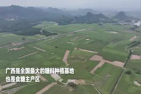 瞭望·治国理政纪事｜牢牢端稳中国“糖罐子”图片