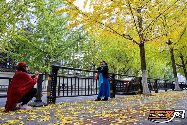 共赴一场荆秋之约