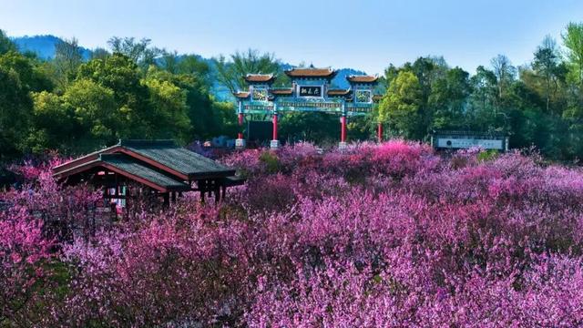 致益阳：山河执笔 绿茵场上竞风流