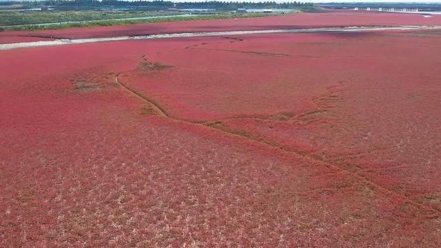 秋染湿地披红装
