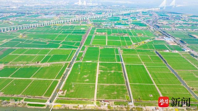 张家港：江风鹞韵共秋日，乐余风筝季邀您共赏！