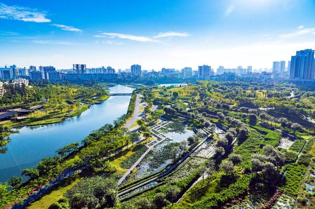 专访北京大学教授俞孔坚：通过基于自然的途径提升城市韧性应对气候挑战