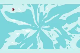 阿庆侃体育 丨“80后”老王已死 “00后”新王当立图片