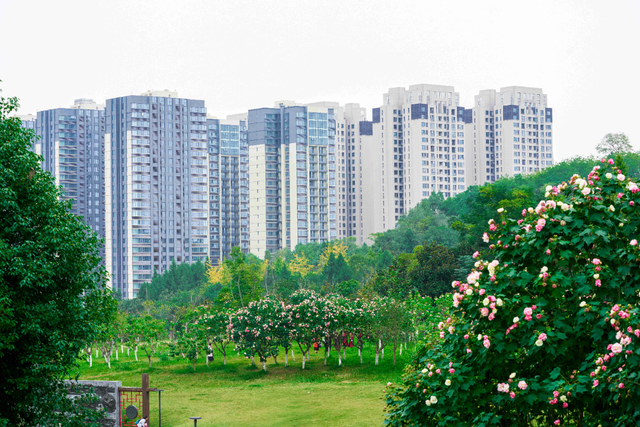 秋假趣玩简阳 家门口乐享幸福时光