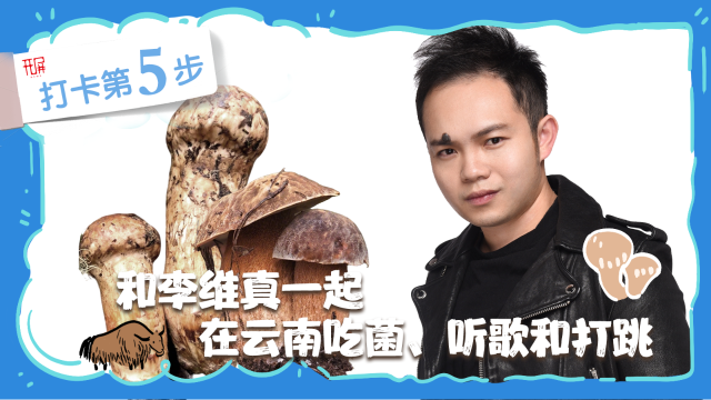 解锁“世界松茸第一村”，总共需几步？