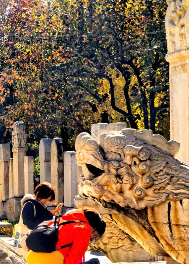 万里无云，阳光正好！周末到公园欣赏北京的秋