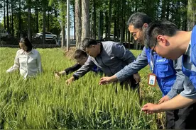 国元保险安徽分公司：田间地头送来一份特殊的“保险”图片