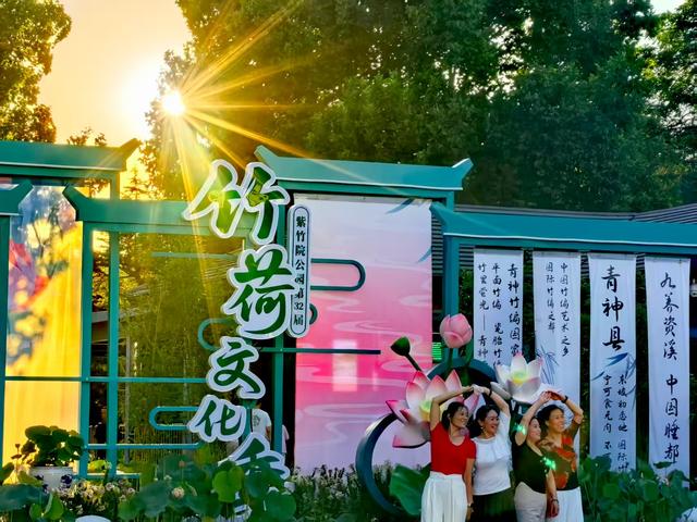 夕阳下的紫竹院公园，美成油画