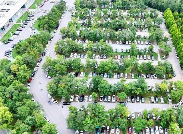 重磅消息！免票！滕州微山湖红荷湿地面向山东省内游客免门票啦