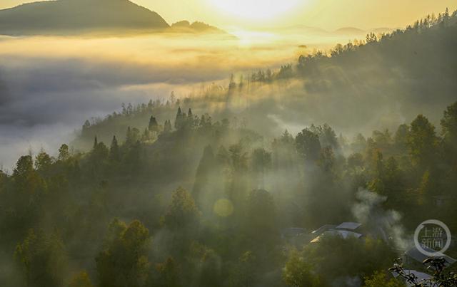 晨雾枫叶红 日出田园美