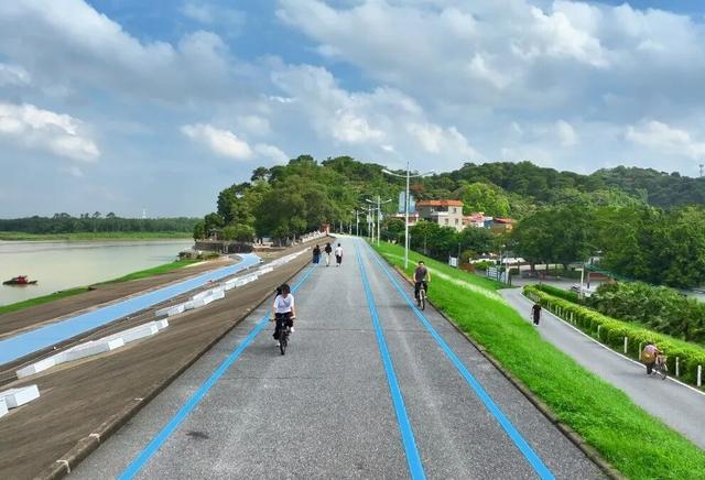 初冬暖阳，踩单车去！三水绝美骑行路线全揭秘，每一帧都是壁纸！